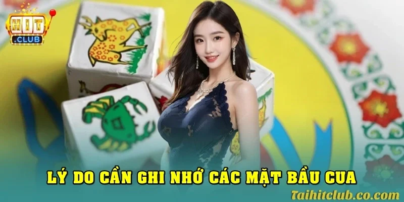 Lý do cần phải ghi nhớ các mặt khi chơi bầu cua